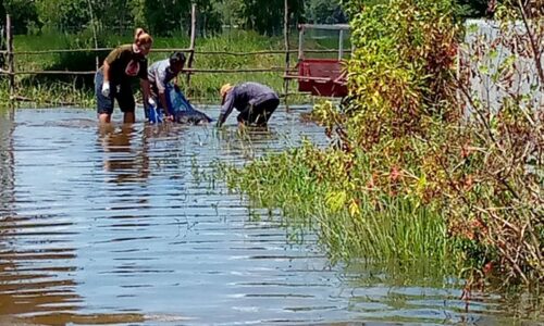 ศรีสะเกษ หนุ่ม 18 ปีหายจากบ้าน 3 วันสุดท้ายกลายเป็นศพลอยในน้ำท่วม ไม่พบร่องรอยการถูกทำร้าย