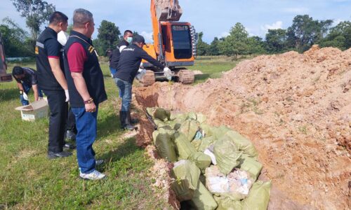 มุกดาหาร กักกันสัตว์ฝังกลบซากหูหมูแช่แข็ง ลักลอบนำเข้าไม่ผ่านศุลกากร