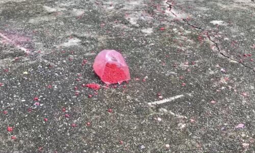 นครนายก – ตื่นมางง ยาบ้าเกลื่อนหน้าบ้านหลาย 1000 เม็ด เปิดกล้องวงจรปิดเห็นคนร้ายขว้างใส่ รีบแจ้งตำรวจเข้าตรวจสอบ