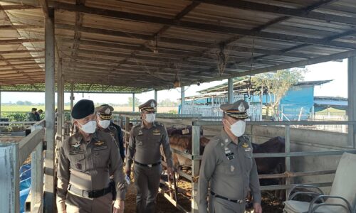 แม่สาย ปปส.ภาค 5 แถลงข่าวการขายทอดสู่ตลาดทรัพย์สินเครือข่ายยาเสพติดที่ไม่เหมาะสมกว่า 150 รายการ