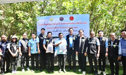 กรมประมงโชว์ผลงานเด่นเพิ่มปูทะเลสำเร็จ 4 ปี 400%