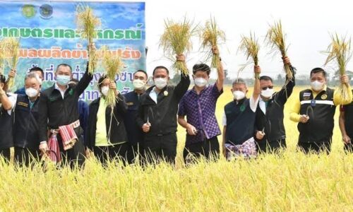 “เฉลิมชัย”ขอบคุณชาวนาพาไทยผงาดเบอร์2ส่งออกข้าวโลกและครองแชมปข้าวดีที่สุดในโลก2ปีซ้อน