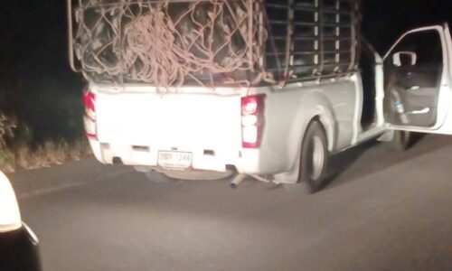 มุกดาหารจับกุมเนื้อสุกรแช่แข็ง ลักลอบนำเข้ามาในพื้นที่