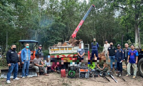 ศรีสะเกษ จับ 10 คนไทยลอบตัดไม้ประดู่ของกลางจำนวนมาก