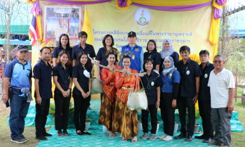 พังงา-นักท่องเที่ยวชาวต่างชาติร่วมลงแขกเกี่ยวข้าวตำข้าวในนาผืนสุดท้ายของจังหวัดพังงา