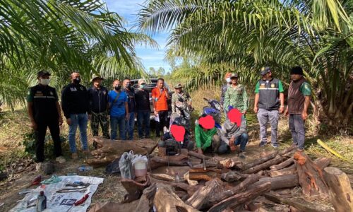 ศรีสะเกษ นายอำเภอขุนหาญจับกุมมอดไม้พยุง 45 ท่อนพร้อมยาบ้า 24 เม็ด ผู้ต้องหา 3 ราย