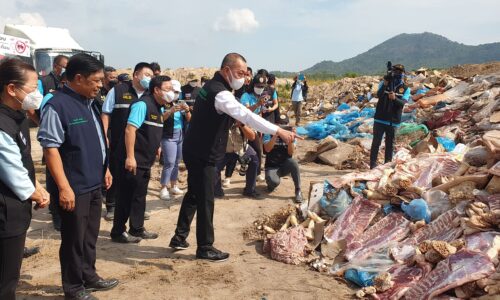 รมว.เกษตร “เฉลิมชัย” เอาจริง!! ฝังทำลายหมูเถื่อน 7 แสน กก. มากสุดเป็นประวัติการณ์ มูลค่า123ล้านบาท