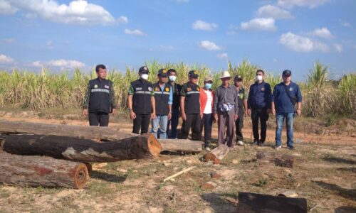 มุกดาหาร ป่าไม้ มห 1 ตรวจอายัดไม้ท่อนจำนวนมากไว้เพื่อตรวจสอบเอกสาร