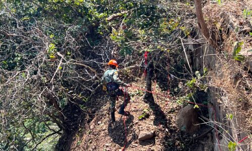 ศรีสะเกษ ดับอนาคตเจ้าจ๋อเขาพระวิหารไม่ให้ไต่ผามออีแดงขึ้นมาแย่งกระเป๋านักท่องเที่ยว