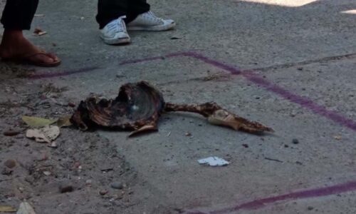 มุกดาหาร พี่สาวยืนยันกระดูกที่พบเป็นของน้องชายจริง