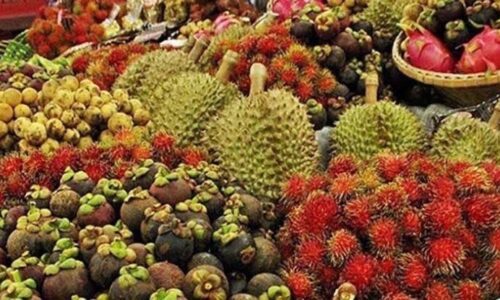 ฟรุ้ทบอร์ดเห็นชอบ”โครงการเพิ่มประสิทธิภาพเพื่อแก้ไขปัญหาทุเรียนด้อยคุณภาพ”