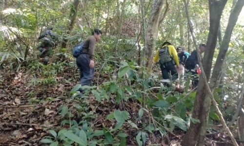 พังงา-ค้นหาหนุ่มกระบี่หายตัวปริศนาบนภูเขานาน10วัน