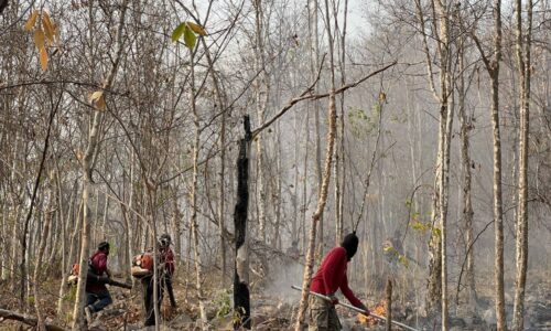 พิษณุโลก  นายอำเภอวังทองนำทีมลุยเร่งควบคุมสถานการณ์ไฟป่าพื้นที่ภูเขาฟ้าเขตพื้นที่อำเภอวังทอง