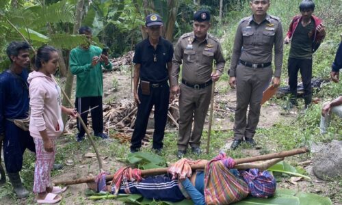 พังงา- ตายแปลก พรานล่าผึ้งหนุ่มใหญ่ออกตีผึ้งคนเดียว ขาลงพลาดเชือกพันคอตายคาต้นไม้