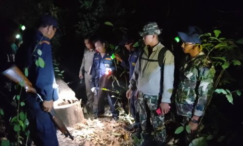 ศรีสะเกษ  โจรใจบาปลอบตัดไม้พะยูงในวัดชายแดนปราสาทพระวิหาร โดนผู้ใหญ่บ้านใจเด็ดนำกำลังไปจับกุม