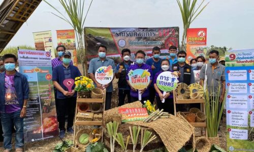 พิษณุโลก สำนักงานเกษตรอำเภอบางระกำ จังหวัดพิษณุโลก จัดจุดสาธิตหยุดเผา