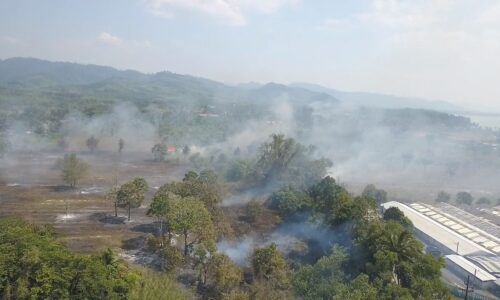 พังงา เจ้าหน้าที่ดับเพลิงเร่งควบคุมไฟไหม้หญ้าที่ดินรุกร้างกว่า 50 ไร่