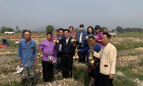 เชียงใหม่2_280266_อธิบดีกรมการค้าภายในมารับซื้อหอมใหญ่15-18 บาท