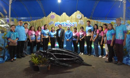 จังหวัดพังงา เปิดงานประเพณีอนุรักษ์เต่าทะเลจังหวัดพังงา ประจำปี 2566