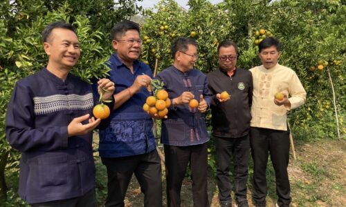 อำเภอฝาง จังหวัดเชียงใหม่ กรมเกษตรเฝ้าระวังสารเคมีตกค้างในผลผลิตส้มจังหวัดเชียงใหม่