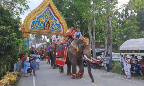พังงา- หนึ่งในไทยแลนด์ ขบวนช้างแห่ผ้าขึ้นห่มพระมหาธาตุเจดีย์พุทธธรรมบันลือ ในวันมาฆะบูชา