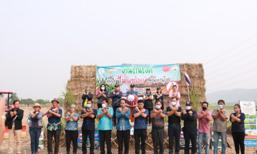 พิษณุโลก เกษตรพิษณุโลก จัดงาน Kick off “ชาวไร่ ไม่เผาอ้อย พิษณุโลก “