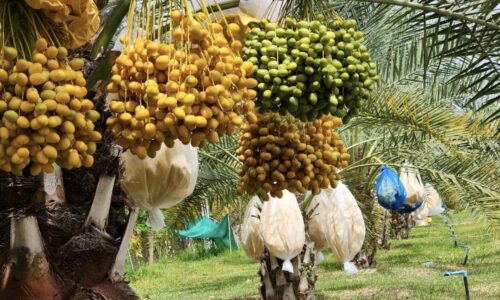 ถิ่นวัฒนธรรมทั่วไทยไปกับพี่หนุ่ม’สุทนวันพุธ