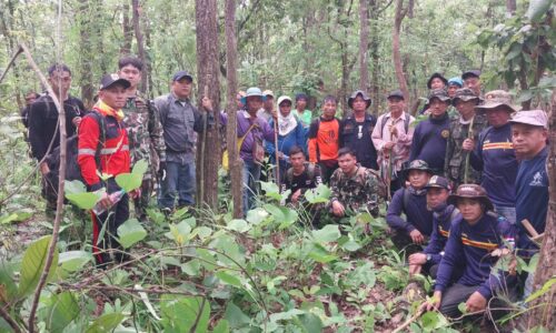 อำเภอฝาง จังหวัดเชียงใหม่ –  คนหายไปเก็บเห็ดในป่าไม่กลับบ้าน