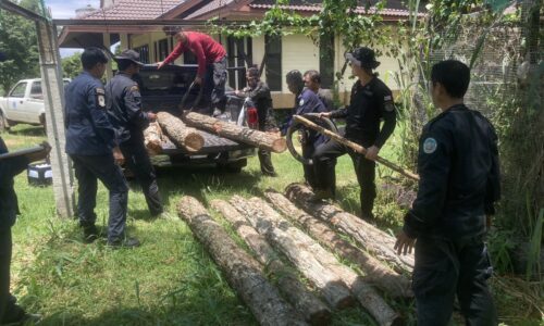 อำเภอไชยปราการ จังหวัดเชียงใหม่ ป่าไม้บุกตรวจยึดพื้นที่ป่าถูกบุกรุกหลายไร่