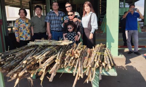 มุกดาหาร โรงงานน้ำตาลสหเรืองเปิดฤดูกาลหีบอ้อยปีการผลิต เงินสะพัด3พันล้านบาท