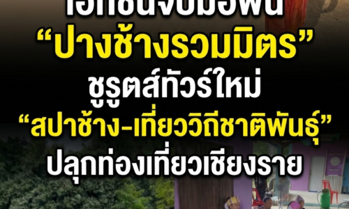 เอกชนจับมือฟื้น “ปางช้างรวมมิตร” ชูรูตส์ทัวร์ใหม่ “สปาช้าง-เที่ยววิถีชาติพันธุ์” ปลุกท่องเที่ยวเชียงราย