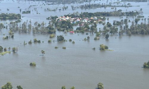 ศรีสะเกษ น้ำท่วมนาข้าวเน่าตายแล้วกว่า 300,000 ไร่