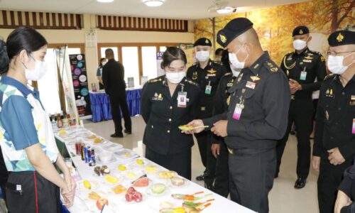 พิษณุโลก โครงการสร้างเสริมสุขภาพลดเสี่ยง ลดโรค ลดสูญเสียในกำลังพล และครอบครัว กองทัพภาคที่ 3