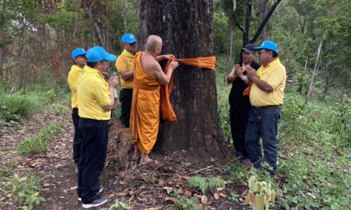 อำเภอไชยปราการ จังหวัดเชียงใหม่ จิตอาสาปลูกป่าเฉลิมพระเกียรติราชินีบนยอดดอยแหล่งต้นน้ำ
