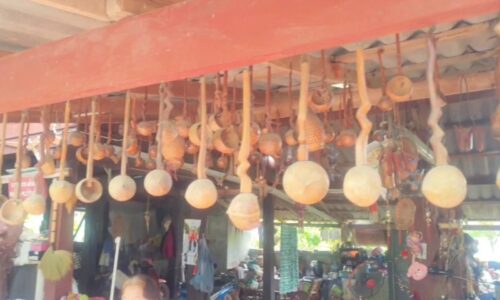 พะเยา หาดูยาก !! ลุงสะสมกระบวยกะลา ประดับบ้าน