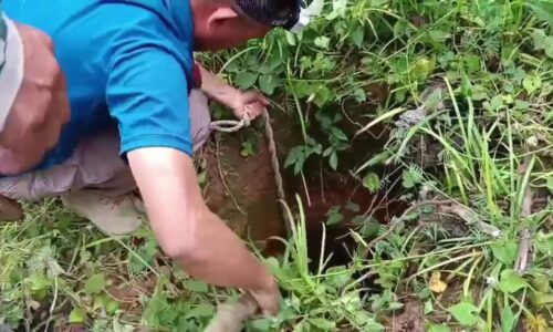 “ศรีสะเกษ” เปิดภาพนาทีชีวิตช่วยเหลือเจ้าตูบพลาดตกหลุมลึกกลางป่าเขาพระวิหาร