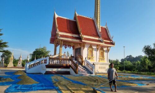 “ศรีสะเกษ” ตากข้าวให้ผีเฝ้าข้างเมรุวัด เชื่อปลอดภัยข้าวไม่หายอันตรายไม่มี