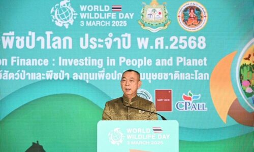“เฉลิมชัย” เปิดงานวันสัตว์ป่าและพืชป่าโลก ชูแนวคิด “การเงินสำหรับการอนุรักษ์สัตว์ป่าและพืชป่า ลงทุนเพื่อปกป้องมนุษยชาติและโลก”