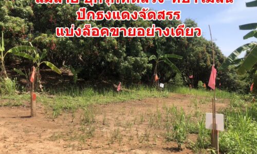 แม่สาย บุกรุกที่หลวง-ที่ป่าไม่สน ปักธงแดงจัดสรรแบ่งล็อคขายอย่างเดียว