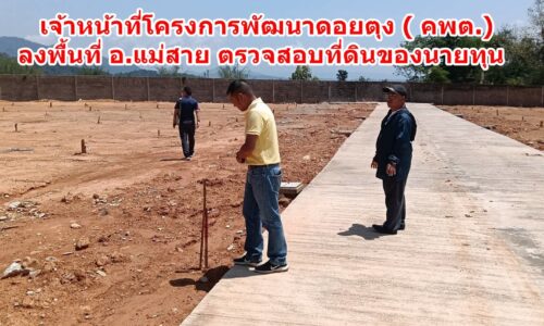 เจ้าหน้าที่โครงการพัฒนาดอยตุง ( คพต.) ลงพื้นที่ อ.แม่สาย ตรวจสอบที่ดินของนายทุน