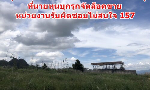 สรุปเป็นที่ดินป่าสงวน – หรือ คพต.ดอยตุง ที่นายทุนบุกรุกจัดล็อคขาย หน่วยงานรับผิดชอบไม่สนใจ 157