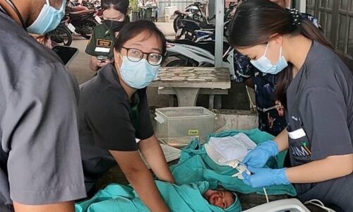 สมุทรปราการ – ชาวบ้านพบเด็กทารกแรกเกิดถูกแม่ใจยักษ์จับยัดกระเป๋าวางทิ้งข้างถนนโร่แจ้งกู้ภัยช่วยโชคดีเด็กปลอดภัย