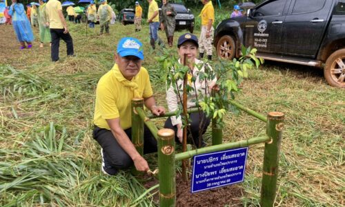 เชียงใหม่ – สี่ชนเผ่าไชยปราการร่วมใจปลูกป่าเฉลิมพระเกียรติฯ 1,000 ต้น ณ สวนเกษตรผาแดง