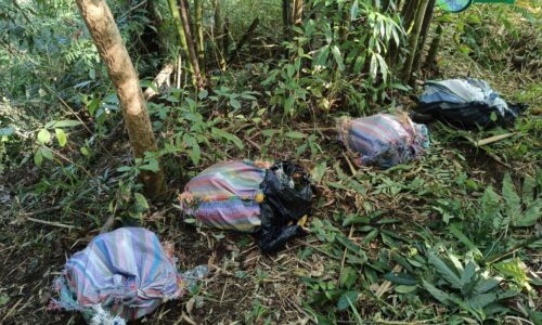 เชียงใหม่ – ทหารพรานผาเมืองปะทะแก๊งขนยาบ้ากลางป่าชายแดนแม่อาย ยึดของกลางกว่า 5 แสนเม็ด