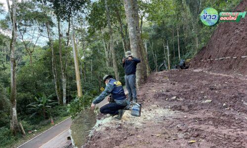 น่านระทึก! สั่งฟัน 2 บิ๊กเอกชน บุกรุกป่าสงวนฯ ทำลายแลนด์มาร์คท่องเที่ยว “ซากุระเมืองไทย”