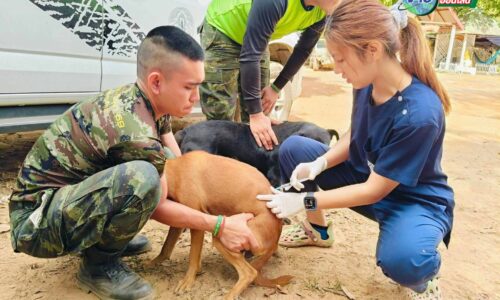 ผู้ว่าฯศรีสะเกษ เรียกประชุมด่วน! หลังพบสัตว์ติดโรคพิษสุนัขบ้าระบาดหนักใน 6 อำเภอ