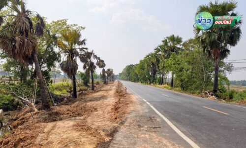 “ศรีสะเกษ” จ่อแจ้งจับ ผู้รับเหมา-เจ้าหน้าที่รัฐ บุกถนนหลวงแผ้วถางตัดต้นตาลดาบวิชัย-ก่อสร้างถนนก่อนทำสัญญา