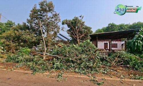 “ศรีสะเกษ” ชาวสวนระทม! พายุฤดูร้อนถล่ม “กันทรลักษ์” สวนทุเรียน-ยางพารา 6 ตำบล 23 หมู่บ้าน หักโค่นพังยับเสียหายหนัก