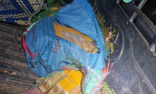 เชียงราย – วิสามัญดับคาที่! ปส.เปิดฉากยิงปะทะแก๊งค้ายาบนดอยวาวี ยึดของกลางยาบ้า 3 แสนเม็ด