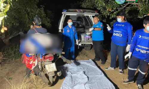 !!แม่จัน!! สลดหาผึ้งในป่าลึก ถูกต้นไม้ล้มทับดับคาที่